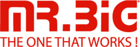 MR.BIG_Logo